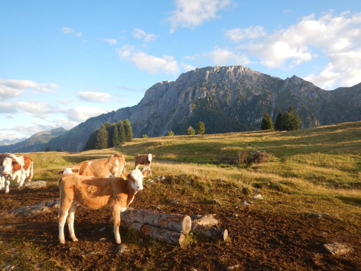 Ferienwohnungen Forellenhof Waldner Gundersheim Dış mekan fotoğraf